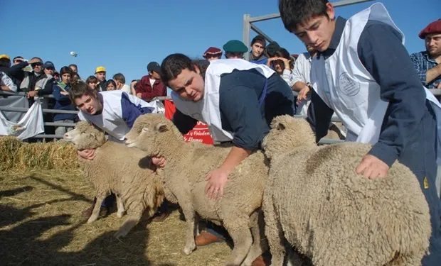 Catamarca será sede de las Ovinpiadas Nacionales 2026 tras el éxito del encuentro regional