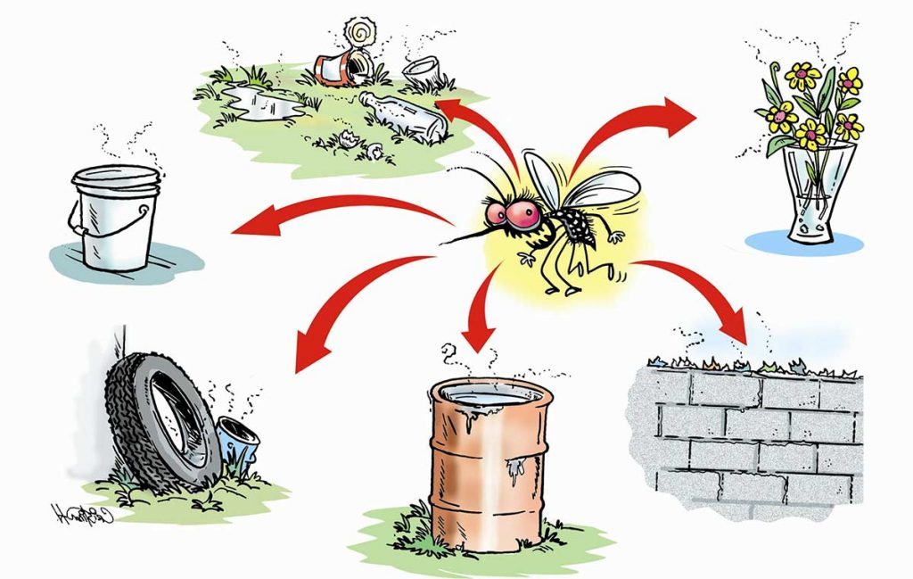 Se encendieron las alarmas: detectan un caso sospechoso de dengue en la Capital