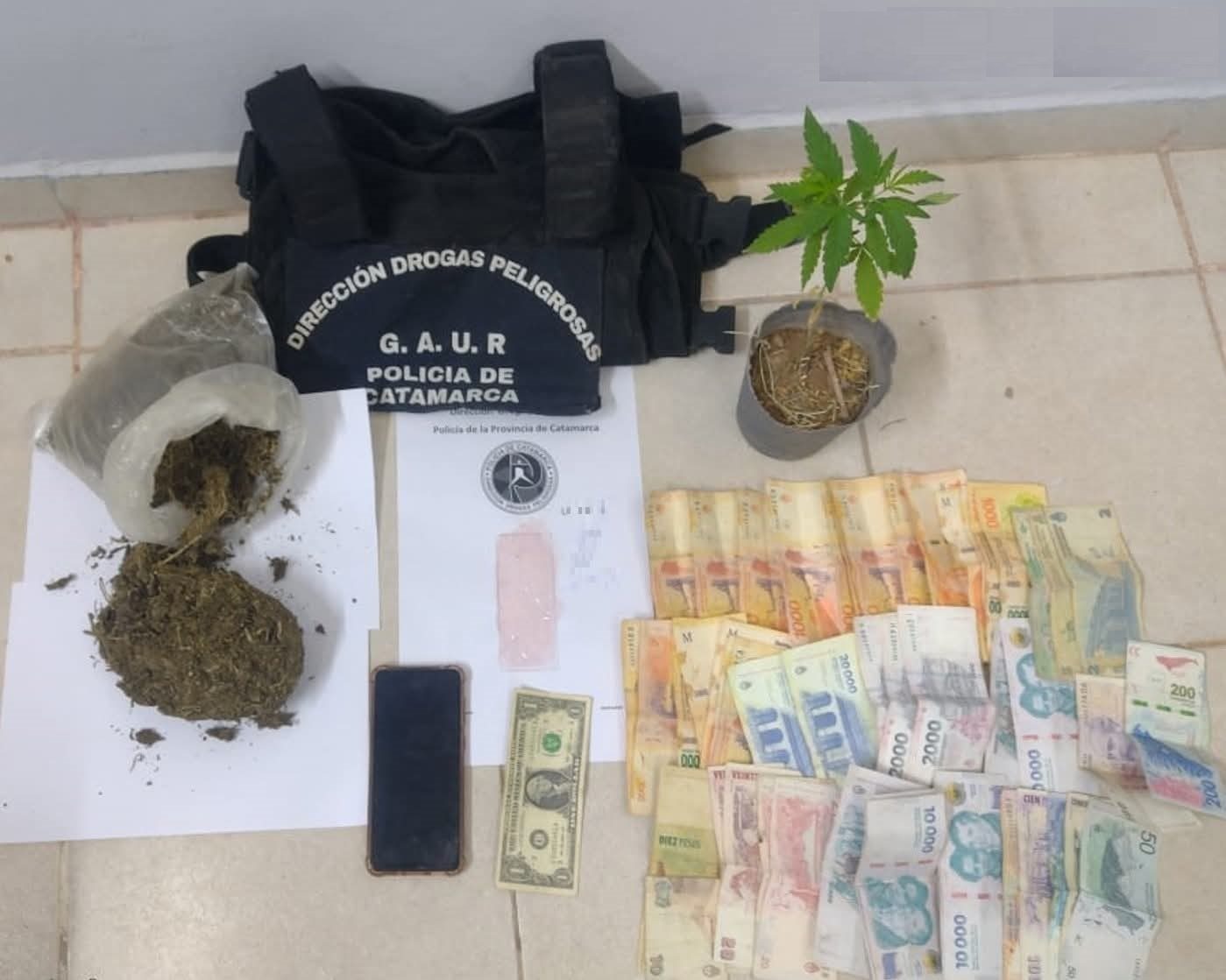 Procedimiento contra el narcomenudeo en Tinogasta