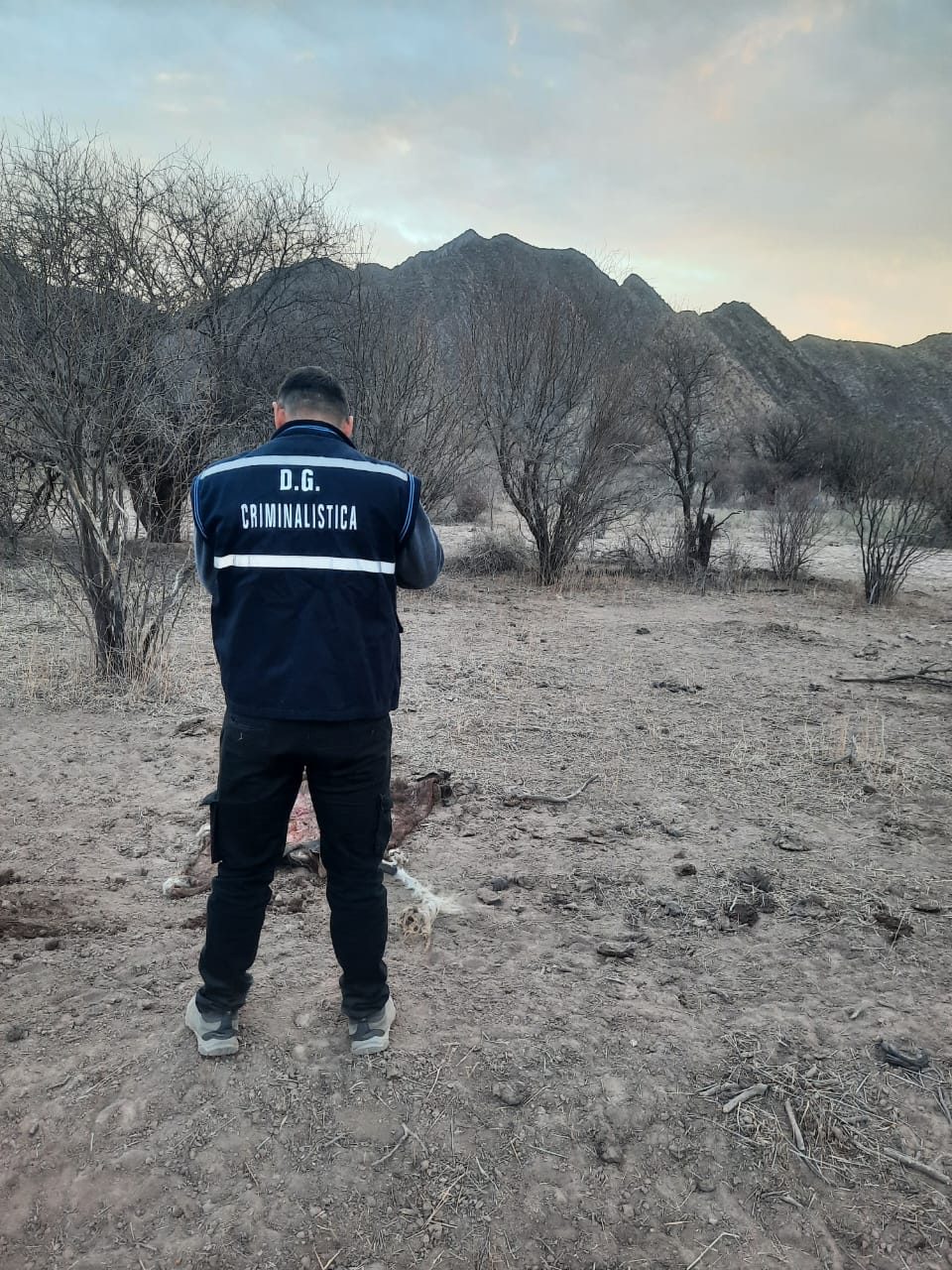 Resumen policial del día .