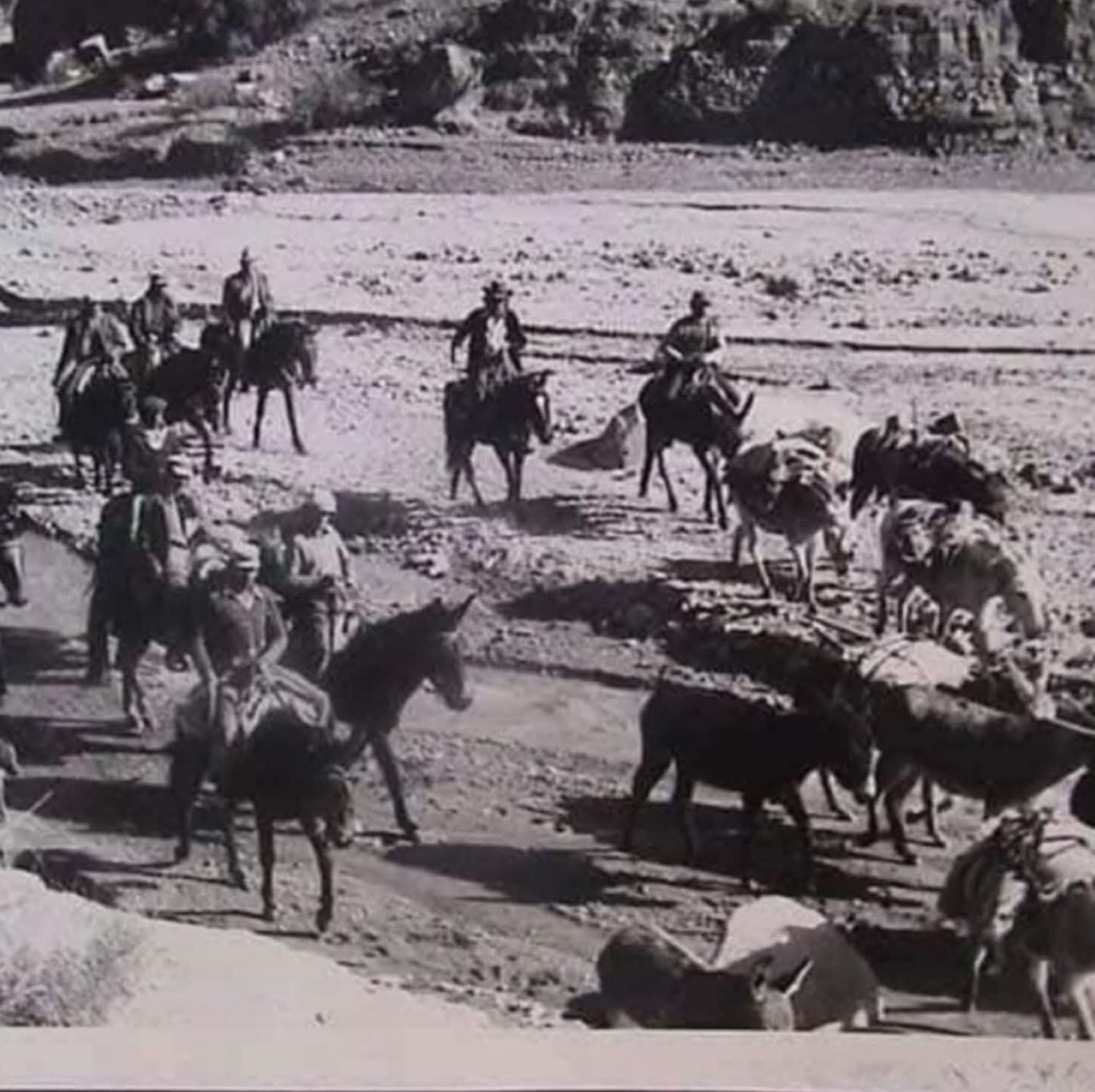 La ruta del arriero"