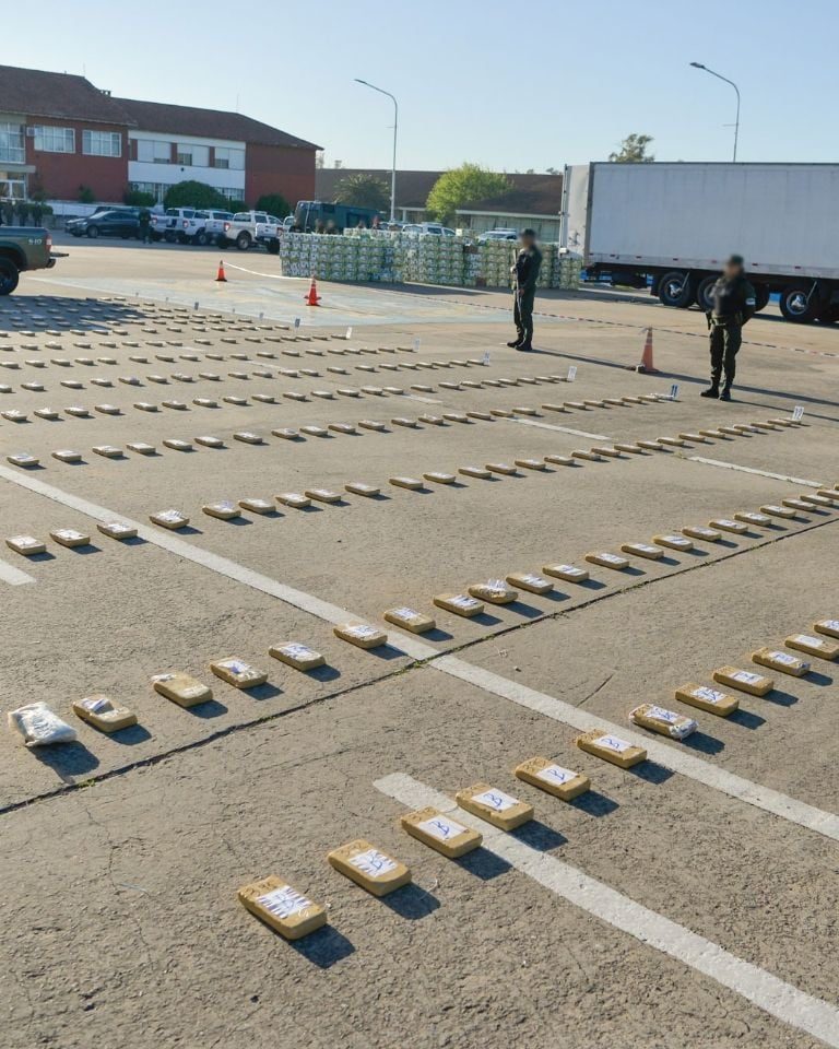 Gendarmería decomisó 444 kilos de cocaína escondidos entre un cargamento de bananas