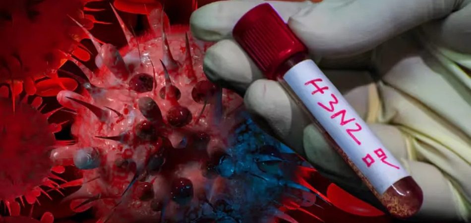 Confirman la primera muerte por gripe H3N2 en la Argentina