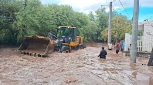 Catamarca después del temporal: viviendas anegadas, árboles caídos y daños en rutas